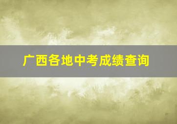 广西各地中考成绩查询