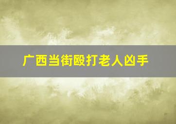 广西当街殴打老人凶手