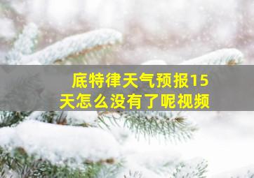 底特律天气预报15天怎么没有了呢视频