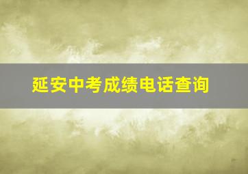 延安中考成绩电话查询