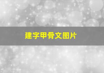 建字甲骨文图片