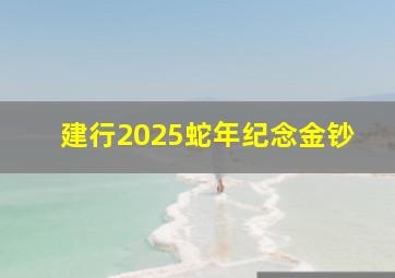 建行2025蛇年纪念金钞