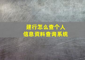 建行怎么查个人信息资料查询系统