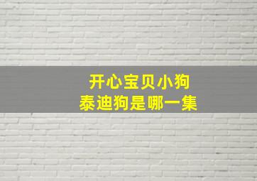 开心宝贝小狗泰迪狗是哪一集