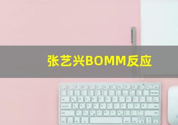 张艺兴BOMM反应