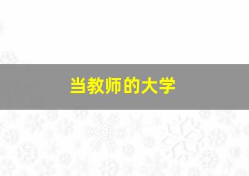 当教师的大学