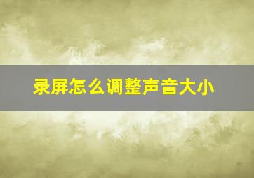 录屏怎么调整声音大小