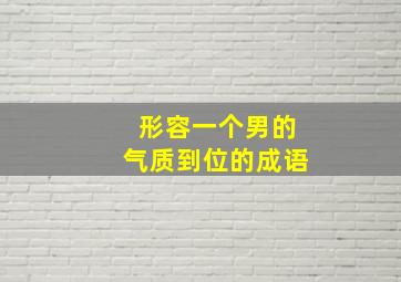 形容一个男的气质到位的成语