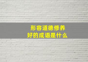 形容道德修养好的成语是什么