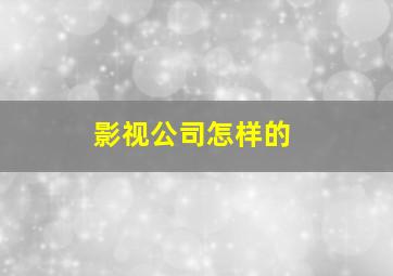 影视公司怎样的