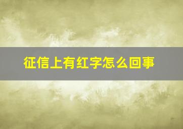 征信上有红字怎么回事