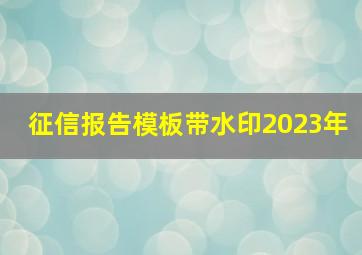 征信报告模板带水印2023年