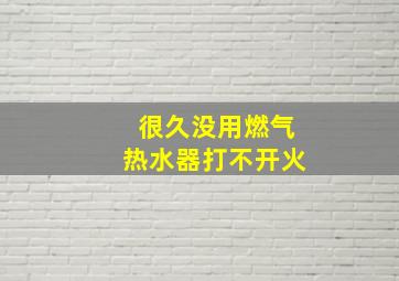 很久没用燃气热水器打不开火