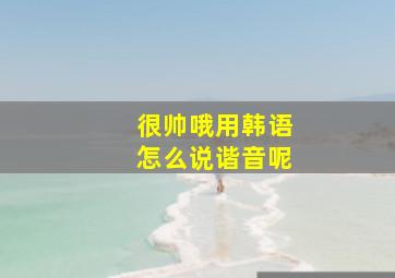 很帅哦用韩语怎么说谐音呢