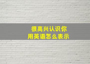 很高兴认识你用英语怎么表示