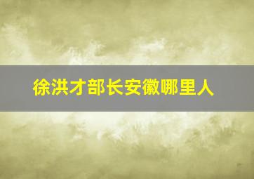 徐洪才部长安徽哪里人