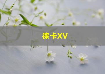 徕卡XV