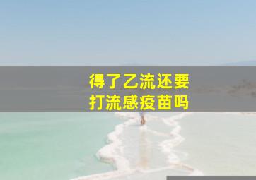 得了乙流还要打流感疫苗吗