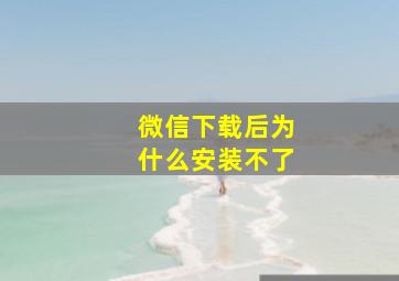 微信下载后为什么安装不了