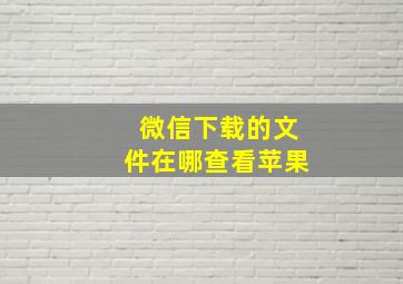 微信下载的文件在哪查看苹果