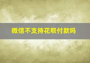 微信不支持花呗付款吗