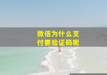 微信为什么支付要验证码呢