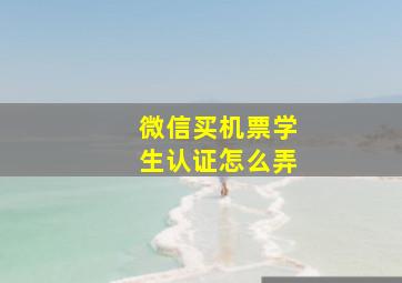 微信买机票学生认证怎么弄