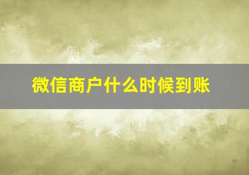 微信商户什么时候到账