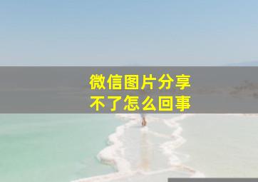 微信图片分享不了怎么回事