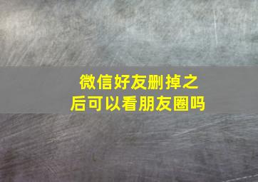 微信好友删掉之后可以看朋友圈吗