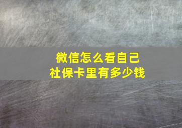 微信怎么看自己社保卡里有多少钱