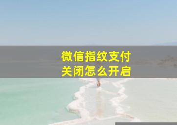 微信指纹支付关闭怎么开启