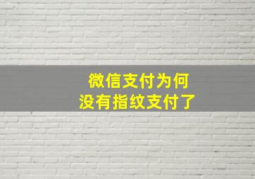 微信支付为何没有指纹支付了