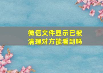 微信文件显示已被清理对方能看到吗