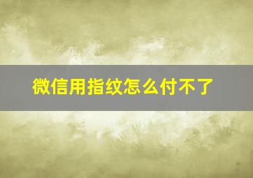 微信用指纹怎么付不了