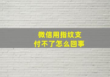 微信用指纹支付不了怎么回事