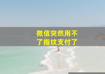 微信突然用不了指纹支付了