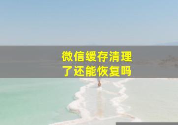 微信缓存清理了还能恢复吗