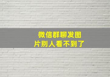 微信群聊发图片别人看不到了