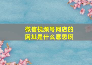 微信视频号网店的网址是什么意思啊