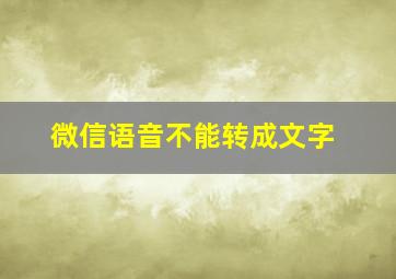 微信语音不能转成文字