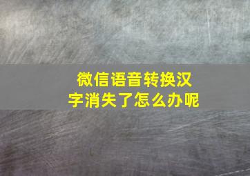 微信语音转换汉字消失了怎么办呢