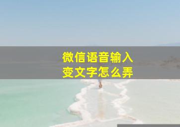 微信语音输入变文字怎么弄