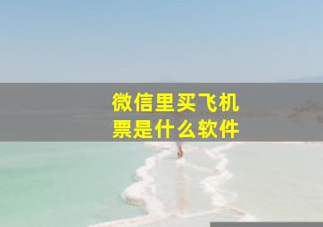 微信里买飞机票是什么软件