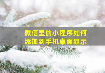 微信里的小程序如何添加到手机桌面显示