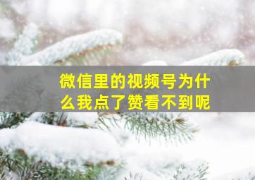 微信里的视频号为什么我点了赞看不到呢