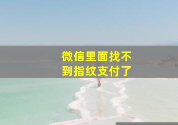 微信里面找不到指纹支付了