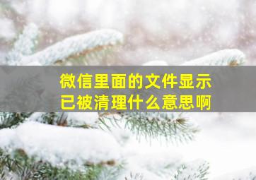 微信里面的文件显示已被清理什么意思啊