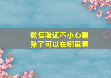 微信验证不小心删除了可以在哪里看