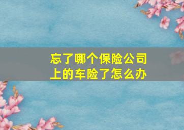 忘了哪个保险公司上的车险了怎么办